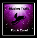 2013 BlazingTrailsCureIcon